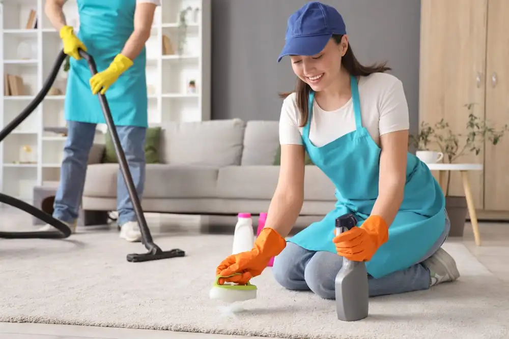 Carpet Cleaning SEO Services